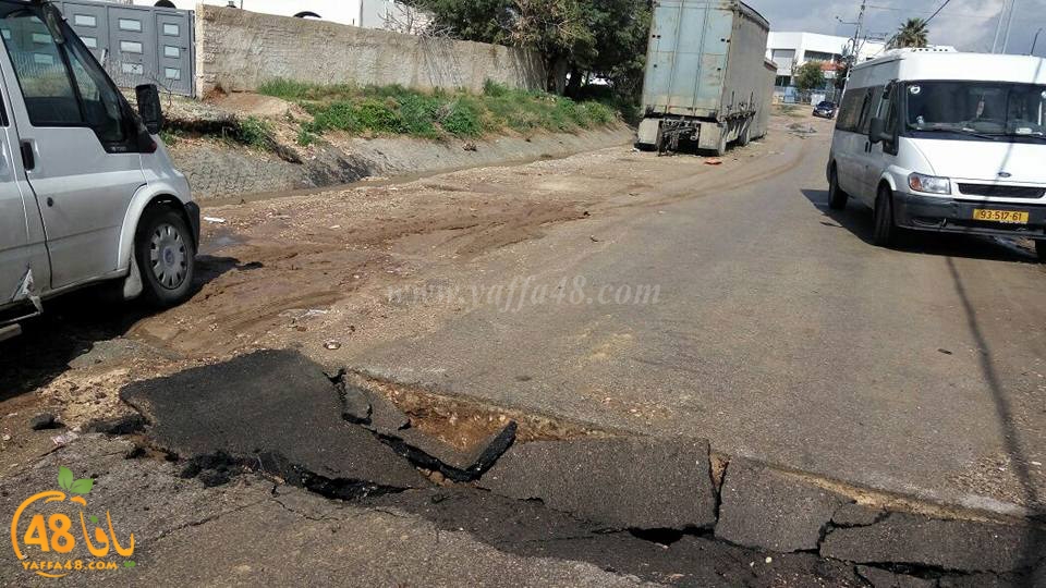 lud shaware3 (3).jpg